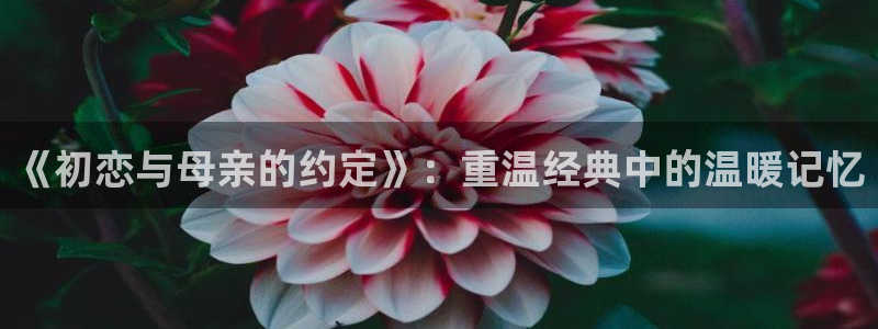 虫虫漫画排行榜：《初恋与母亲的约定》：重温经典中的温暖记忆