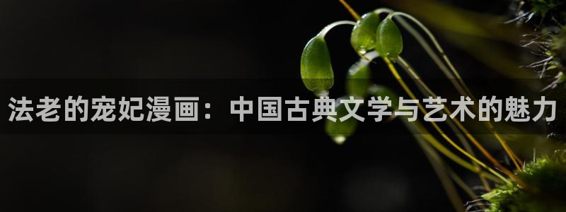 虫虫漫画hh：法老的宠妃漫画：中国古典文学与艺术的魅力