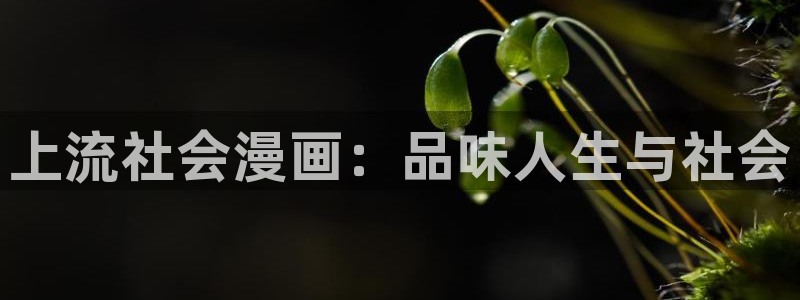 虫虫漫画地址：上流社会漫画：品味人生与社会